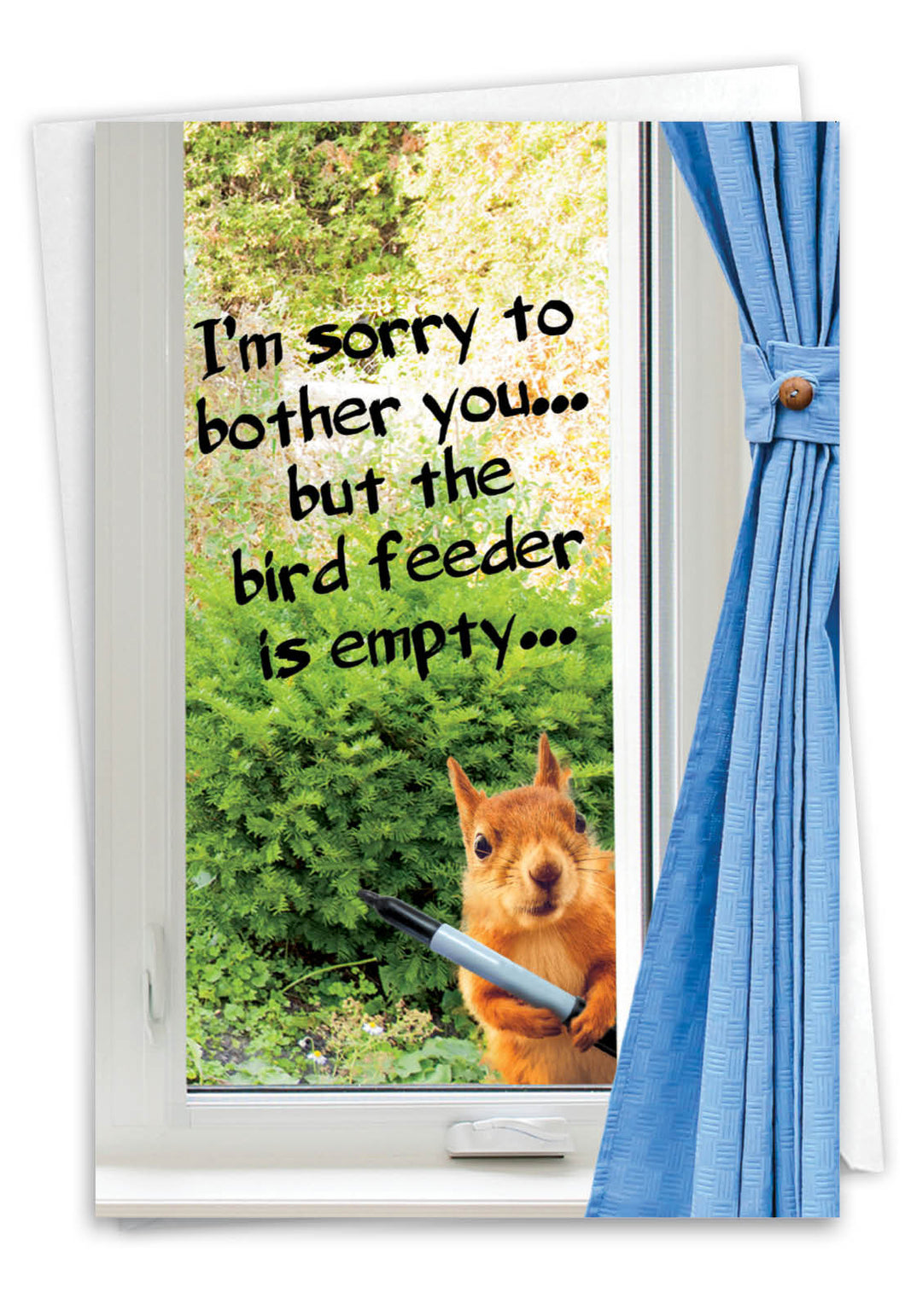 Card - Empty Bird Feeder