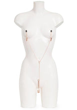 Load image into Gallery viewer, Fifty Shades Freed All Sensation Nipple and Clitoral Chain - Purple
