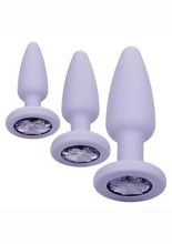 Load image into Gallery viewer, First Time Crystal Booty Kit Silicone Probes - Purple - 3 Piece
