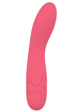 Load image into Gallery viewer, Hush Silicone G-Spot Vibrator - Pink
