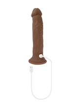 Load image into Gallery viewer, In Thrust We Trust Rechargeable Silicone Dildo with Remote
