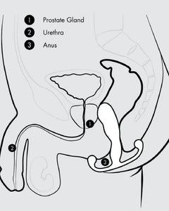 Aneros Maximus Male G-Spot Stimulator Trident Series
