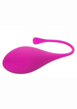 Load image into Gallery viewer, Kegel Training
