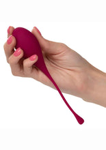 Load image into Gallery viewer, Kegel Training
