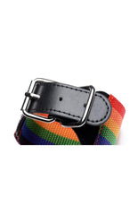 Load image into Gallery viewer, Kinky Pride Rainbow Bondage Set - Wrist/Ankle Cuffs and Collar with Leash
