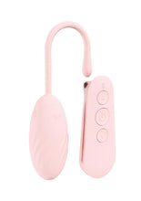 Load image into Gallery viewer, Loveline Felicite 10 Function Silicone Rechargeable Egg Vibe with Remote Control - Pink
