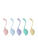 Load image into Gallery viewer, Loveline Pelvfit Kegel Kit
