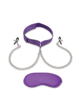 Load image into Gallery viewer, Lux Fetish Collar and Nipple Clamps - Purple

