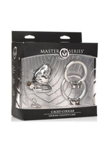 Load image into Gallery viewer, Master Series Caged Cougar Stainless Steel Locking Chastity Cage - Silver
