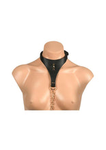 Load image into Gallery viewer, Master Series Captivate Collar with Body Chain
