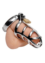 Load image into Gallery viewer, Master Series Detained Stainless Steel Chastity Cage
