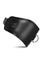 Load image into Gallery viewer, Master Series Hard Stance Padded Lock Posture Collar - Black
