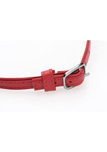 Load image into Gallery viewer, Master Series Heart Lock Choker with Keys
