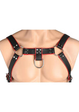 Load image into Gallery viewer, Master Series Heather&#39;s Harness Male Body Harness
