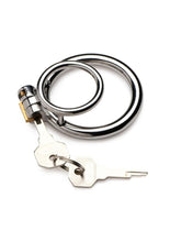 Load image into Gallery viewer, Master Series Locked Cock Stainless Steel Locking Cock and Ball Ring
