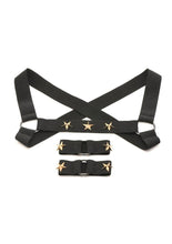 Load image into Gallery viewer, Ms Rave Chest Harness Lxl Blk/Gld
