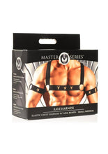 Load image into Gallery viewer, Ms Rave Chest Harness S/M Blk/Gld
