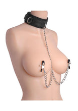 Load image into Gallery viewer, Master Series Submission Collar and Nipple Clamp Union
