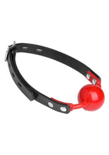 Load image into Gallery viewer, Master Series The Hush Gag Silicone Comfort Ball Gag
