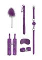Load image into Gallery viewer, Ouch! Beginners Bondage Kit
