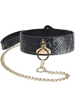 Load image into Gallery viewer, Ouch! Florence Collection Collar with Leash
