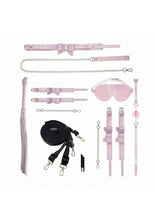 Load image into Gallery viewer, Ouch! Paris Collection Kit - Pink - Bag
