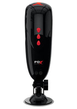 Load image into Gallery viewer, Pipedream Extreme Elite Rechargeable Dirty Talk Starter Masturbator - Pussy - Black/Flesh/Vanilla
