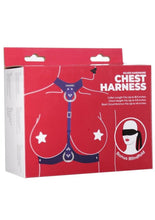 Load image into Gallery viewer, Punishment Body Harness - Silver
