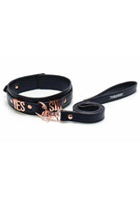 Load image into Gallery viewer, Punishment Yes Sir Collar/Leash - Rose Gold
