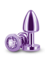 Load image into Gallery viewer, Rear Assets Aluminum Anal Plug - Petite - Metal/Purple - XSmall
