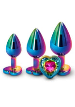 Load image into Gallery viewer, Rear Assets Aluminum Anal Plug Trainer Kit - Multicolor - 3 Pieces
