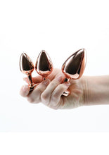 Load image into Gallery viewer, Rear Assets Aluminum Anal Plug Trainer Kit
