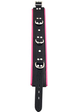 Load image into Gallery viewer, Rouge 3 D-Ring Padded Leather Adjustable Collar - Black/Pink
