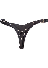Load image into Gallery viewer, Rouge Female Dildo Leather Harness - Black
