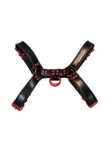 Load image into Gallery viewer, Rouge Leather Over The Head Harness Black with Red Accessories - Black/Red - Small
