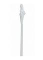 Load image into Gallery viewer, S-Line The Dickheads Bride Straws
