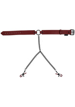 Load image into Gallery viewer, Saffron Collar with Nipple Clamp - Black/Red
