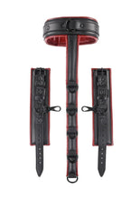 Load image into Gallery viewer, Saffron Neck and Wrist Restraint - Black/Red
