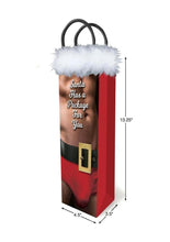 Load image into Gallery viewer, Santa Has A Big Package For You - Gift Bag
