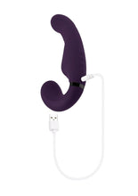 Load image into Gallery viewer, Share The Love Rechargeable Silicone Dual Vibrator
