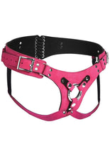 Load image into Gallery viewer, Strap U Bodice Deluxe Leather Corset Harness - Metal/Pink
