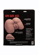 Load image into Gallery viewer, Stroke It Life-Size Masturbator - Ass
