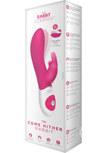 Load image into Gallery viewer, The Come Hither Rabbit Rechargeable Silicone G-Spot Vibrator - Pink
