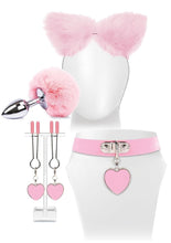 Load image into Gallery viewer, Try Curious Kitty Kit - Pink
