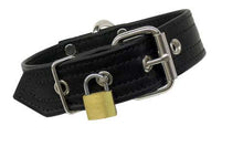 Load image into Gallery viewer, Leather LockingCollar with D Ring - Medium/Large (Black)
