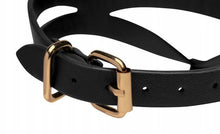 Load image into Gallery viewer, Black and Gold Collar with Leash Kit - One Size
